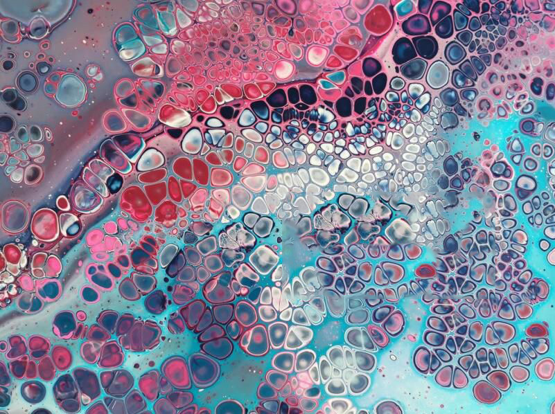 Anker SurgePad Test: What Can the C1000 Run?